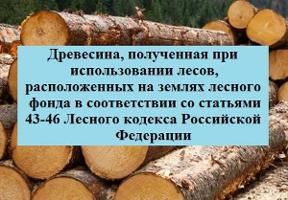 Торги №1652334 Лот №4012144 Древесина 611 м3 (2-е снижение) - торги по банкротству 1